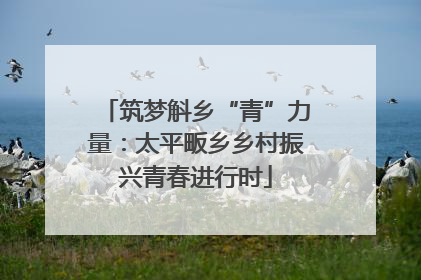 筑梦斛乡“青”力量：太平畈乡乡村振兴青春进行时