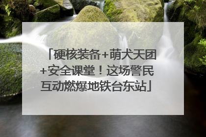 硬核装备+萌犬天团+安全课堂！这场警民互动燃爆地铁台东站
