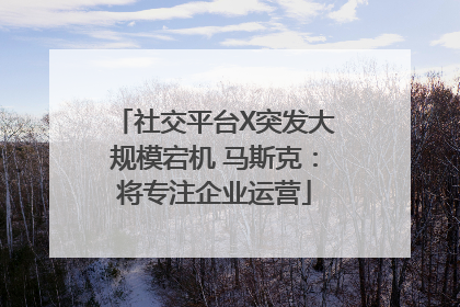 社交平台X突发大规模宕机 马斯克：将专注企业运营