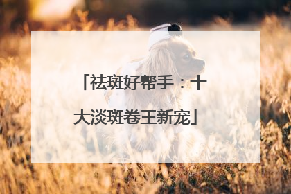 祛斑好帮手：十大淡斑卷王新宠