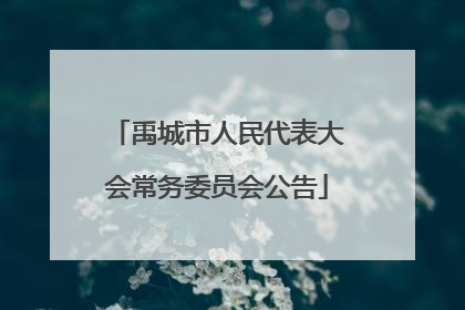 禹城市人民代表大会常务委员会公告