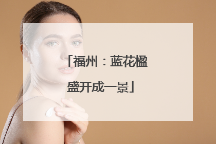 福州：蓝花楹盛开成一景