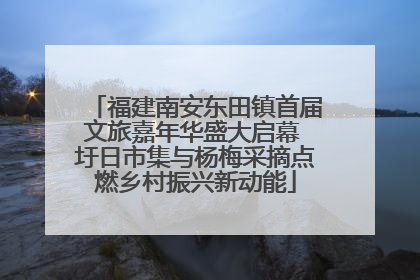 福建南安东田镇首届文旅嘉年华盛大启幕 圩日市集与杨梅采摘点燃乡村振兴新动能