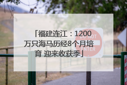 福建连江：1200万只海马历经8个月培育 迎来收获季