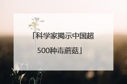 科学家揭示中国超500种毒蘑菇