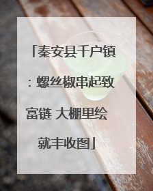 秦安县千户镇：螺丝椒串起致富链 大棚里绘就丰收图