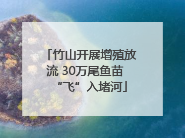 竹山开展增殖放流 30万尾鱼苗“飞”入堵河
