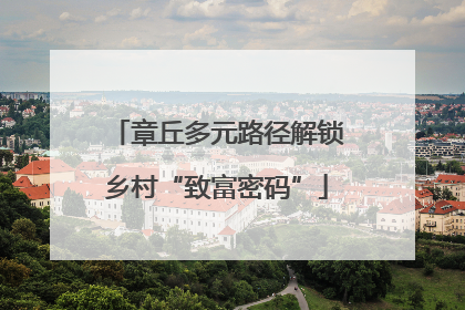 章丘多元路径解锁乡村“致富密码”