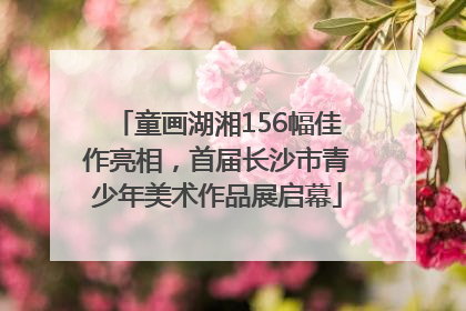 童画湖湘156幅佳作亮相，首届长沙市青少年美术作品展启幕