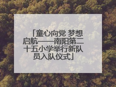 童心向党 梦想启航——南阳第二十五小学举行新队员入队仪式