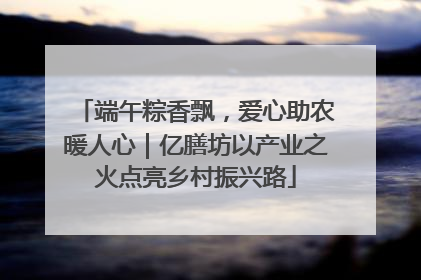 端午粽香飘，爱心助农暖人心｜亿膳坊以产业之火点亮乡村振兴路