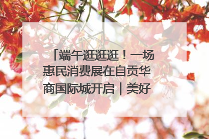 端午逛逛逛！一场惠民消费展在自贡华商国际城开启｜美好生活有“盐”味