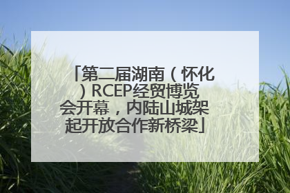 第二届湖南（怀化）RCEP经贸博览会开幕，内陆山城架起开放合作新桥梁