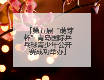 第五届“萌芽杯”青岛国际乒乓球青少年公开赛成功举办