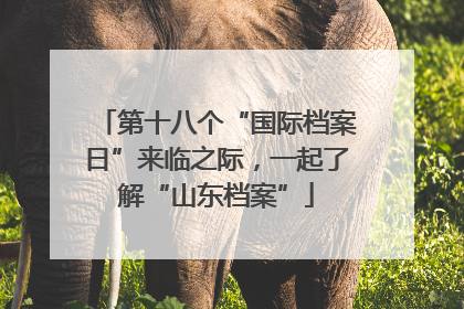 第十八个“国际档案日”来临之际，一起了解“山东档案”