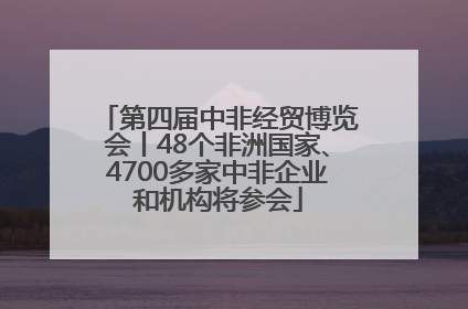 第四届中非经贸博览会丨48个非洲国家、4700多家中非企业和机构将参会