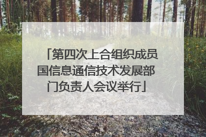 第四次上合组织成员国信息通信技术发展部门负责人会议举行