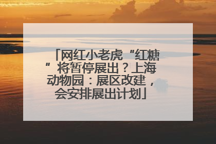 网红小老虎“红糖”将暂停展出？上海动物园：展区改建，会安排展出计划