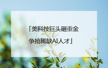 美科技巨头砸重金争抢稀缺AI人才