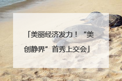 美丽经济发力！“美创静界”首秀上交会