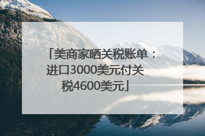 美商家晒关税账单：进口3000美元付关税4600美元