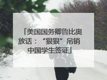 美国国务卿鲁比奥放话：“狠狠”吊销中国学生签证