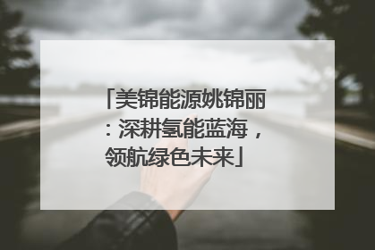 美锦能源姚锦丽：深耕氢能蓝海，领航绿色未来