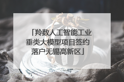 羚数人工智能工业垂类大模型项目签约落户无锡高新区