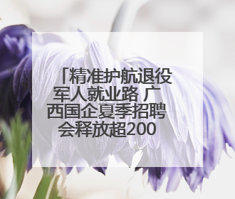 精准护航退役军人就业路 广西国企夏季招聘会释放超2000+优质岗位