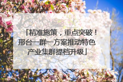 精准施策，重点突破！邢台一群一方案推动特色产业集群提档升级