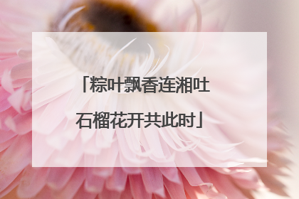 粽叶飘香连湘吐 石榴花开共此时