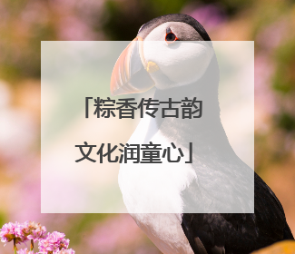 粽香传古韵 文化润童心