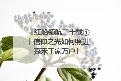 红船领航二十载①丨信仰之光如何照进嘉禾千家万户