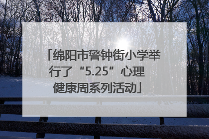 绵阳市警钟街小学举行了“5.25”心理健康周系列活动