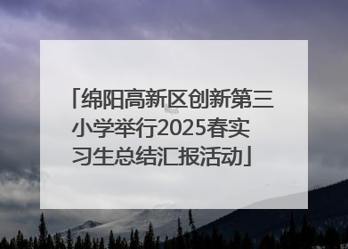 绵阳高新区创新第三小学举行2025春实习生总结汇报活动