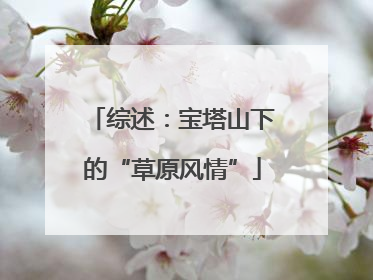 综述：宝塔山下的“草原风情”