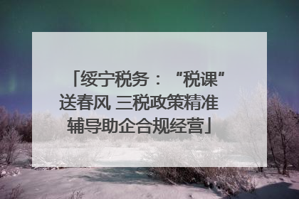 绥宁税务：“税课”送春风 三税政策精准辅导助企合规经营