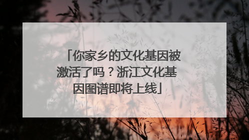 你家乡的文化基因被激活了吗？浙江文化基因图谱即将上线