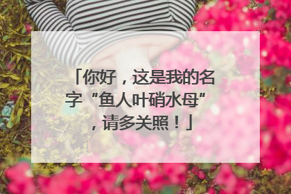 你好，这是我的名字“鱼人叶硝水母”，请多关照！