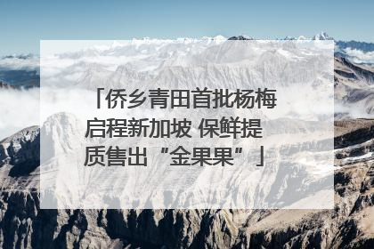 侨乡青田首批杨梅启程新加坡 保鲜提质售出“金果果”