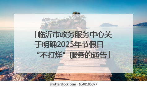 临沂市政务服务中心关于明确2025年节假日“不打烊”服务的通告