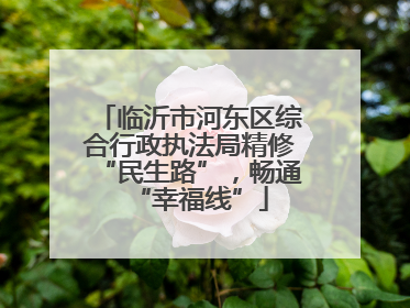 临沂市河东区综合行政执法局精修“民生路”，畅通“幸福线”