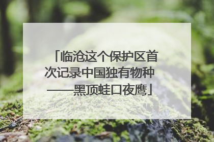 临沧这个保护区首次记录中国独有物种——黑顶蛙口夜鹰