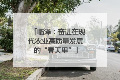 临泽：奋进在现代农业高质量发展的“春天里”