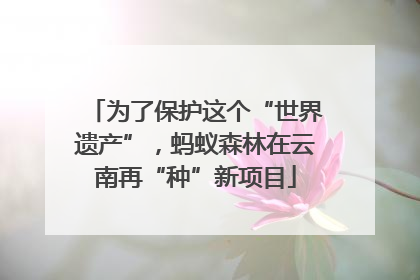 为了保护这个“世界遗产”，蚂蚁森林在云南再“种”新项目