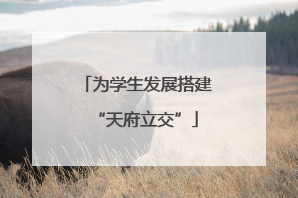 为学生发展搭建“天府立交”