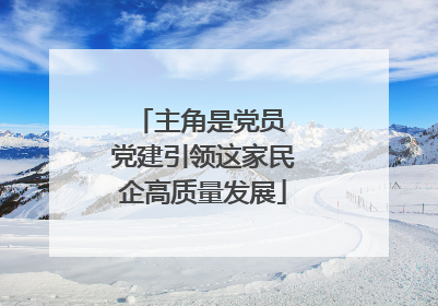 主角是党员 党建引领这家民企高质量发展