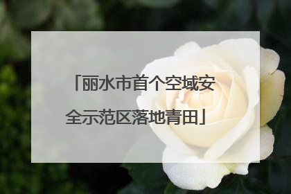 丽水市首个空域安全示范区落地青田
