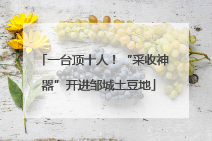 一台顶十人！“采收神器”开进邹城土豆地