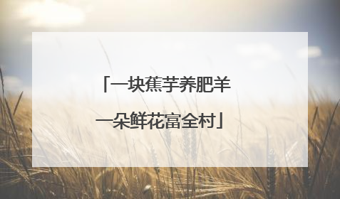 一块蕉芋养肥羊 一朵鲜花富全村